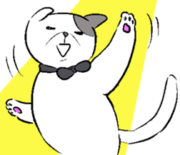 Everyday of Scottish Fold sticker #5841019