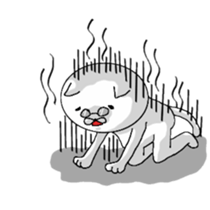 PO, cat sticker #5842044