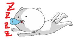 PO, cat sticker #5842063