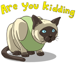 LodChong the siamese cat sticker #5842999