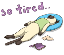 LodChong the siamese cat sticker #5843000