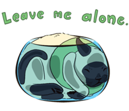 LodChong the siamese cat sticker #5843002