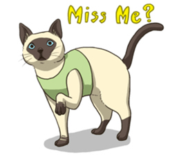 LodChong the siamese cat sticker #5843004