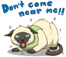 LodChong the siamese cat sticker #5843017