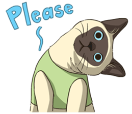 LodChong the siamese cat sticker #5843019