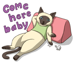 LodChong the siamese cat sticker #5843023