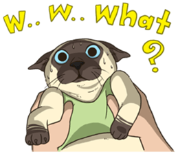 LodChong the siamese cat sticker #5843024