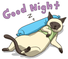 LodChong the siamese cat sticker #5843025