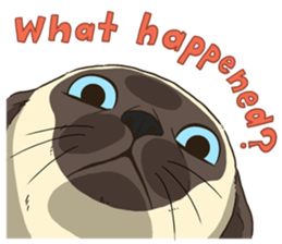 LodChong the siamese cat sticker #5843026