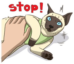 LodChong the siamese cat sticker #5843029