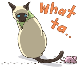 LodChong the siamese cat sticker #5843032