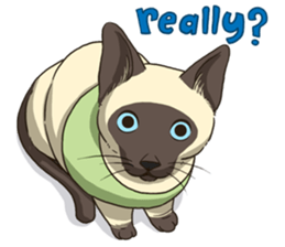 LodChong the siamese cat sticker #5843033