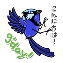Splendid Fairy Wren sticker #5843322