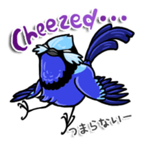 Splendid Fairy Wren sticker #5843324