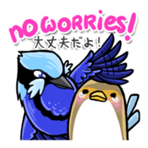 Splendid Fairy Wren sticker #5843326