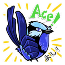 Splendid Fairy Wren sticker #5843327