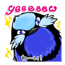 Splendid Fairy Wren sticker #5843328