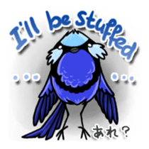 Splendid Fairy Wren sticker #5843329