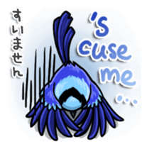 Splendid Fairy Wren sticker #5843330