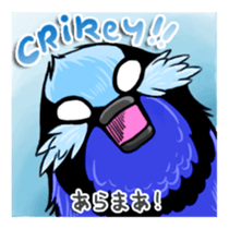 Splendid Fairy Wren sticker #5843332