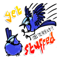 Splendid Fairy Wren sticker #5843334