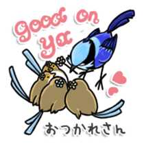 Splendid Fairy Wren sticker #5843335