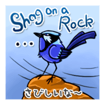 Splendid Fairy Wren sticker #5843338