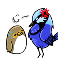 Splendid Fairy Wren sticker #5843340