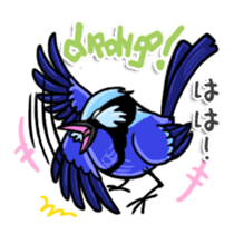 Splendid Fairy Wren sticker #5843341