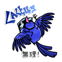Splendid Fairy Wren sticker #5843343
