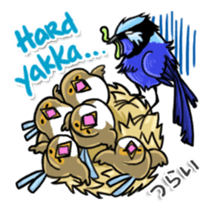 Splendid Fairy Wren sticker #5843346