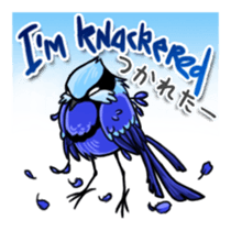 Splendid Fairy Wren sticker #5843347