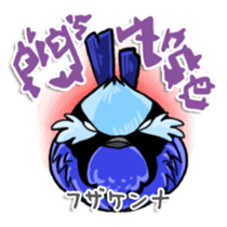 Splendid Fairy Wren sticker #5843349