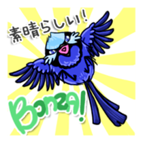 Splendid Fairy Wren sticker #5843351