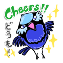 Splendid Fairy Wren sticker #5843353