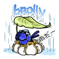 Splendid Fairy Wren sticker #5843354