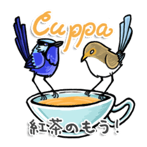 Splendid Fairy Wren sticker #5843357