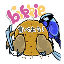 Splendid Fairy Wren sticker #5843358