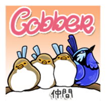 Splendid Fairy Wren sticker #5843359