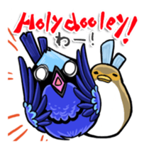 Splendid Fairy Wren sticker #5843360