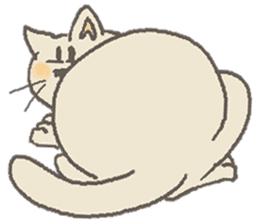 Cat / Chat 3 Picture only sticker #5844324