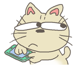 Cat / Chat 3 Picture only sticker #5844346