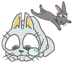 Cat / Chat 3 Picture only sticker #5844370