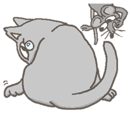 Cat / Chat 3 Picture only sticker #5844374