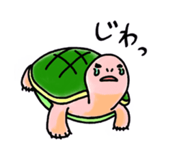 Great friends, Rabbit and Turtle sticker #5845125