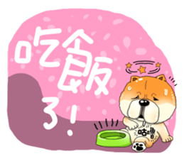 Pet Paradise so happy sticker #5845995