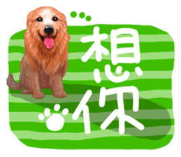 Pet Paradise so happy sticker #5846004