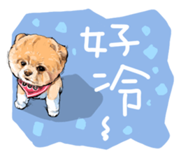 Pet Paradise so happy sticker #5846014