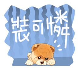 Pet Paradise so happy sticker #5846015