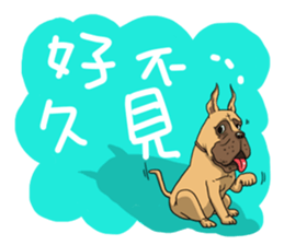 Pet Paradise so happy sticker #5846022